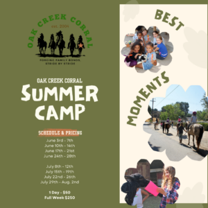 Summer Camp - Week Booking