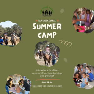 Summer Camp - Day Booking